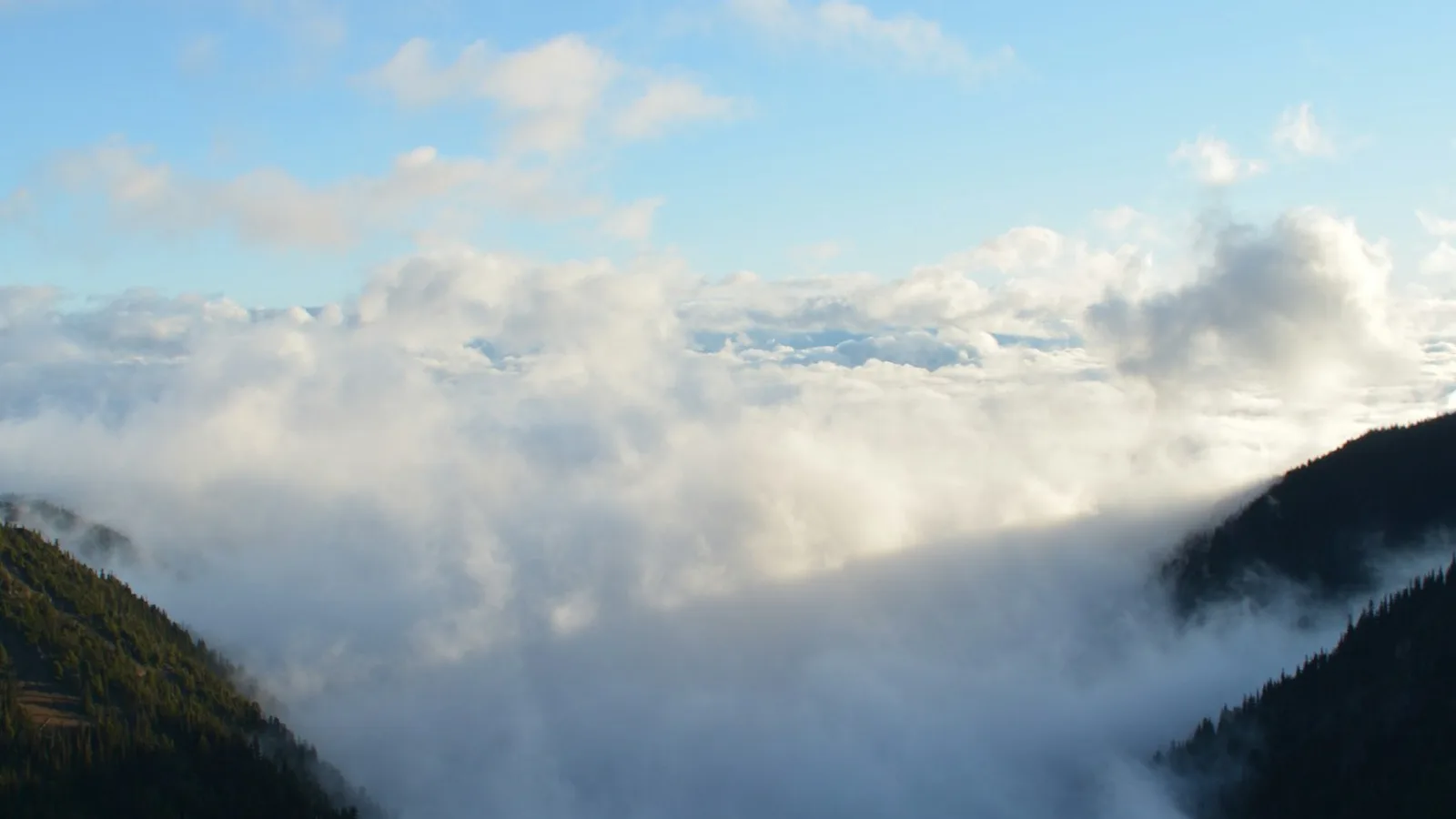 Flying Blind Costs More Than a Hire